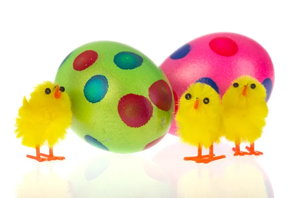 Easter chicks — Stock Photo, Image