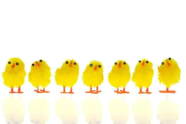 stock image Easter chicks