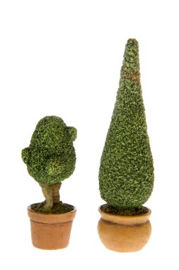 Buxus bushes clipart