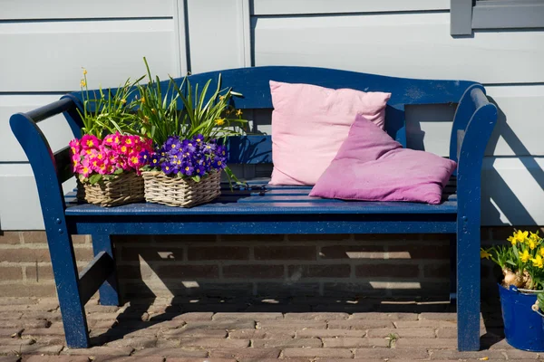 屋外の青い木製のベンチ — ストック写真