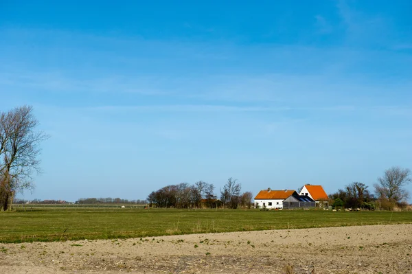 Hollands landschap — Stockfoto