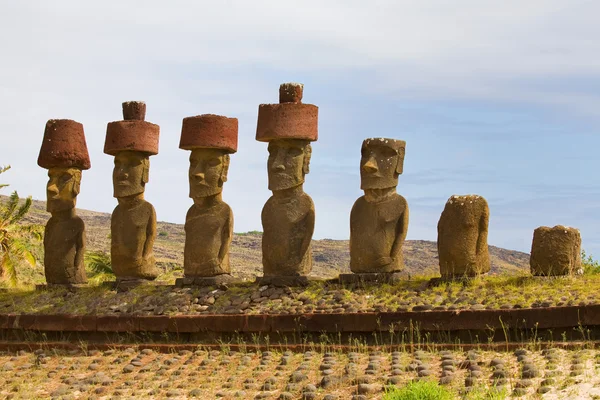 Moai Paskalya Adası'nda — Stok fotoğraf