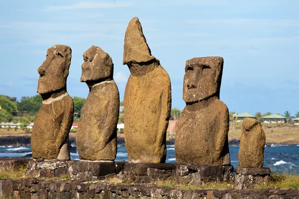 Moai Paskalya Adası'nda — Stok fotoğraf