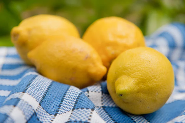 Stilleben med citroner — Stockfoto