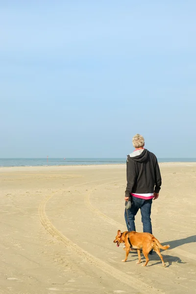 Hombre con perro en la playa — Foto de Stock