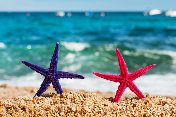 Стоячи starfishes — стокове фото