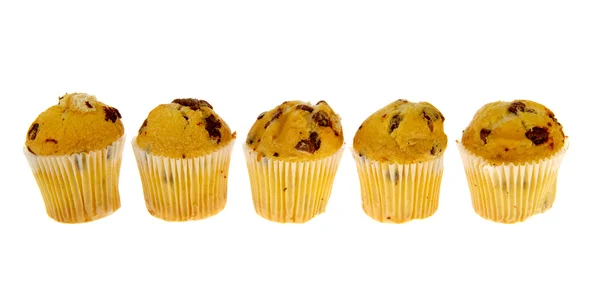Řádek čokoládové muffiny — Stock fotografie