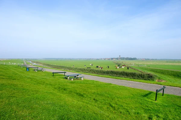 Ampla paisagem típica holandesa — Fotografia de Stock