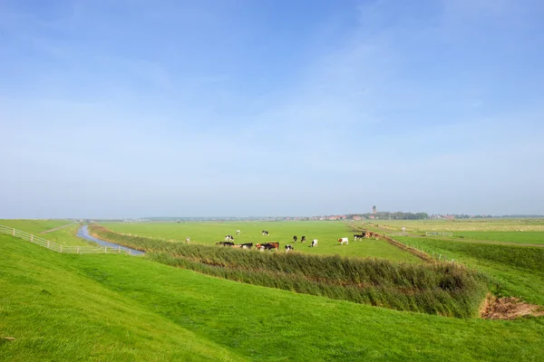 Широкий ландшафт на голландском острове Вадден — стоковое фото