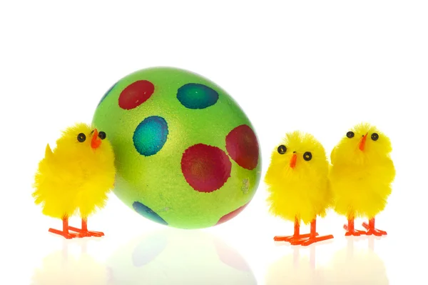 Easter chicks with painted egg — Stock Photo, Image