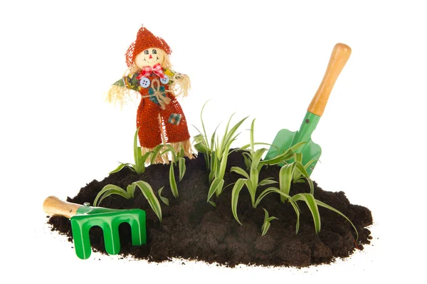 Jardinagem com espantalho e ferramentas — Fotografia de Stock