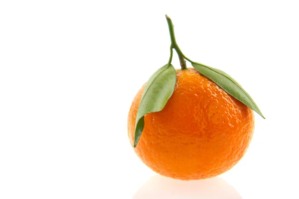 Mandarină proaspătă — Fotografie, imagine de stoc