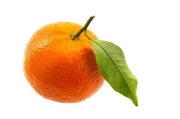 Frische Mandarine — Stockfoto
