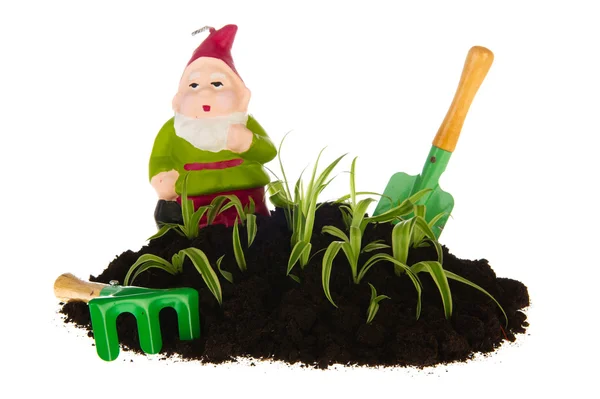 Jardinagem com gnomo e ferramentas — Fotografia de Stock