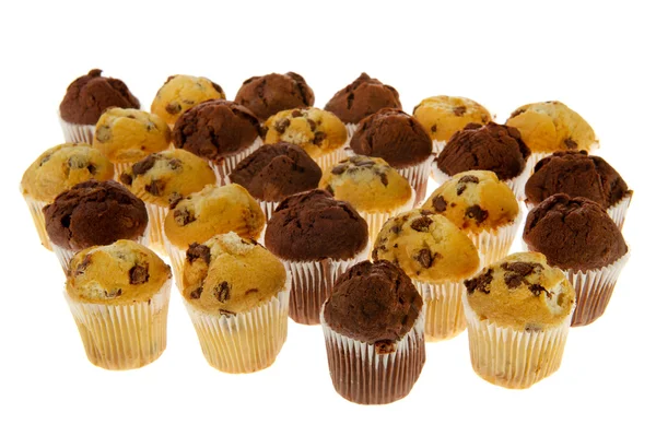 Muitos muffins de chocolate — Fotografia de Stock