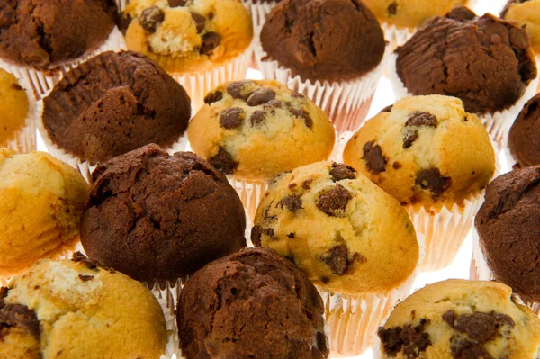 Veel chocolade muffins — Stockfoto