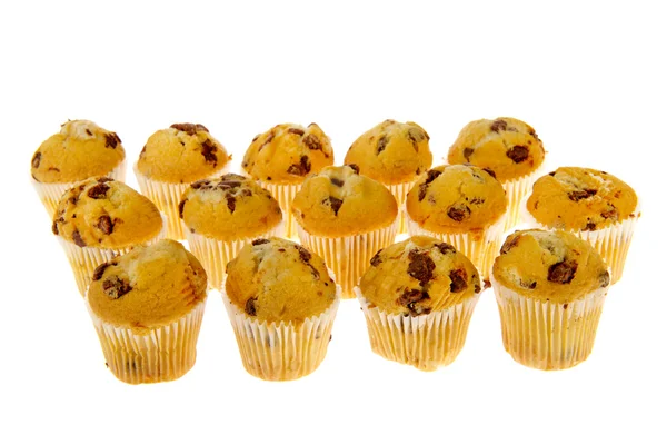Many chocolate muffins Royalty Free Stock Photos