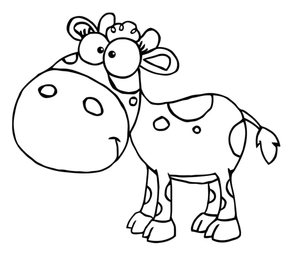 Outlined Baby Cow — Stock Photo, Image