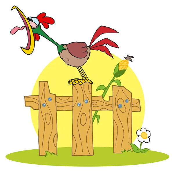 Lauter Hahn auf einem Holzzaun an einem Maisstängel — Stockfoto
