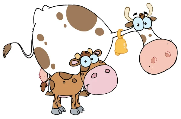 Becerro por una mamá vaca lechera —  Fotos de Stock