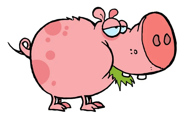 胖斑点粉红色的猪嚼着草卡通人物 — 图库照片
