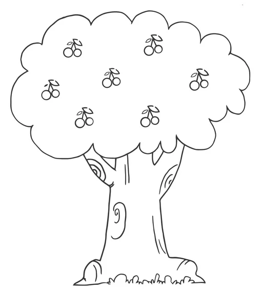 Umriss eines Kirschbaums — Stockfoto