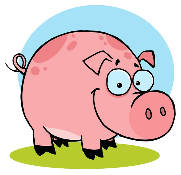 Happy Farm Pig Spots — Stock Photo, Image