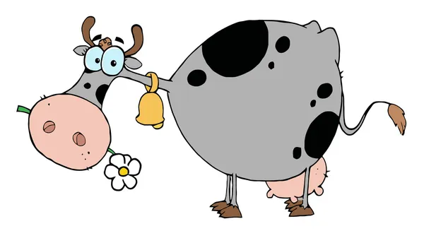 灰色和黑色的母牛吃一朵雏菊 — 图库照片
