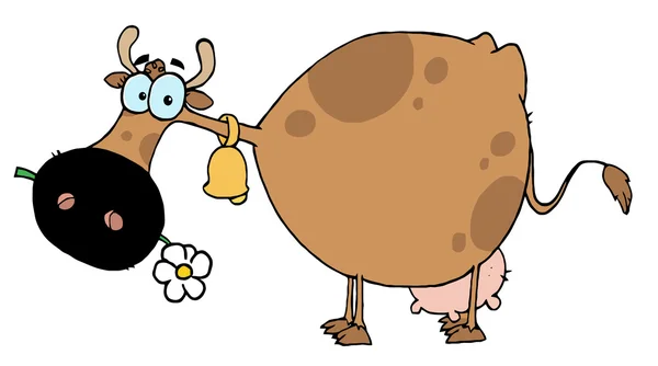 Barna tehén eszik egy százszorszép — Stock Fotó