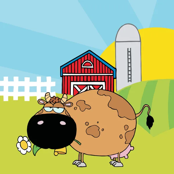 Mollige bruin koe eten een daisy door een silo en schuur — Stockfoto