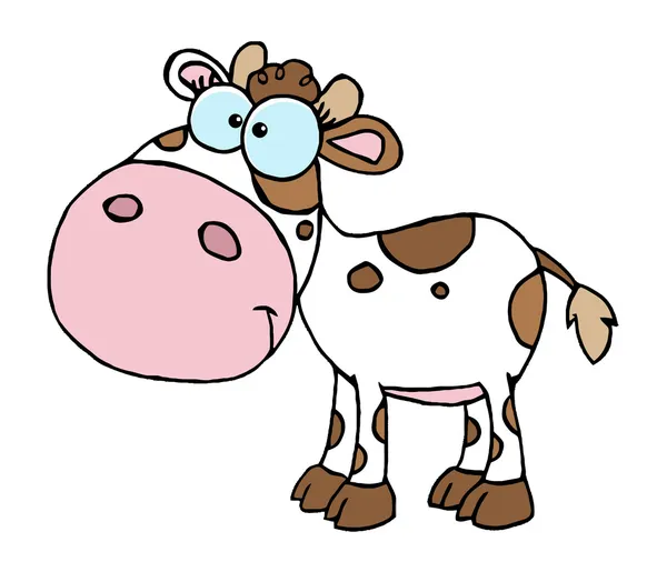 Biały i brązowy dziecko krowa — Zdjęcie stockowe