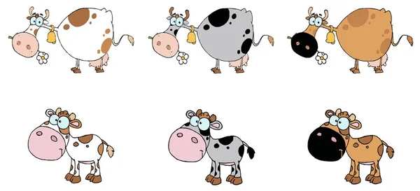 Collage van zes koeien — Stockfoto