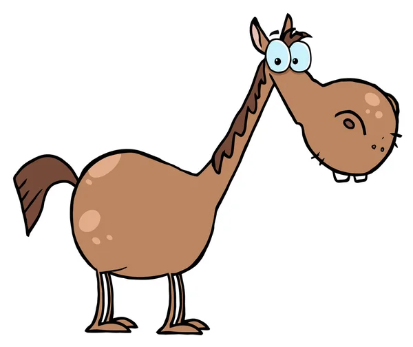 Short Brown Horse Long Neck — Stock Photo, Image