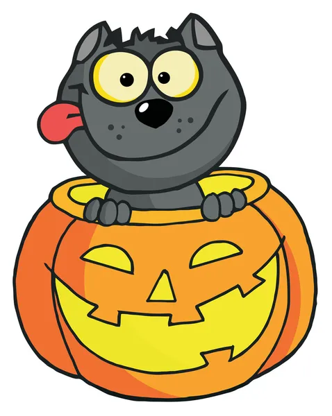 漫画の文字ハロウィン黒猫座ってカボチャの内部に — ストック写真