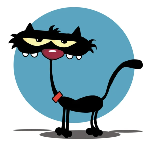 Vézna fekete cica macska — Stock Fotó