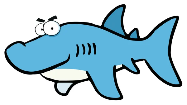 看了一眼周围的坏脾气蓝色鲨鱼 — 图库照片