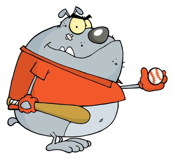 Fat Bulldog Wearing Shirt Playing Baseball — Stock Photo, Image