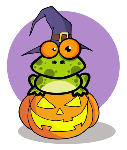 Halloween groda med en häxa hatt i pumpa — Stockfoto