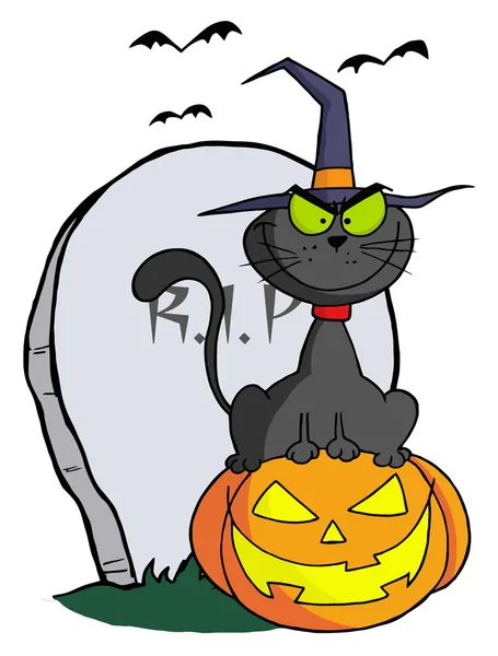 Halloween Cat on Pumpkin Near Tombstone — Stock Photo, Image