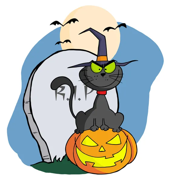 Gato de Halloween en calabaza cerca de lápida y murciélagos una luna llena —  Fotos de Stock