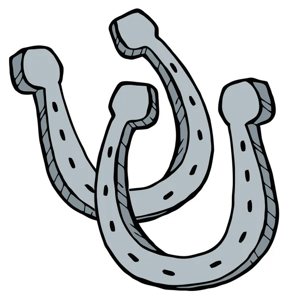 Twee Metalen Paard Schoenen — Stockfoto