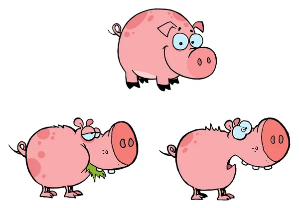 Pink Pigs Collection — Stock Photo, Image