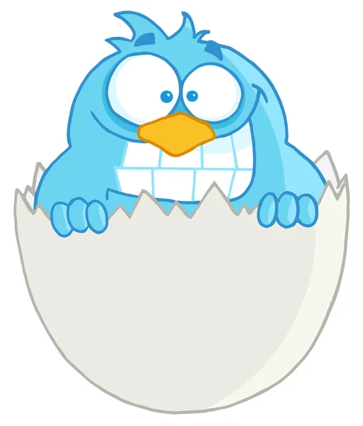 Pájaro azul en una cáscara de huevo — Stockfoto