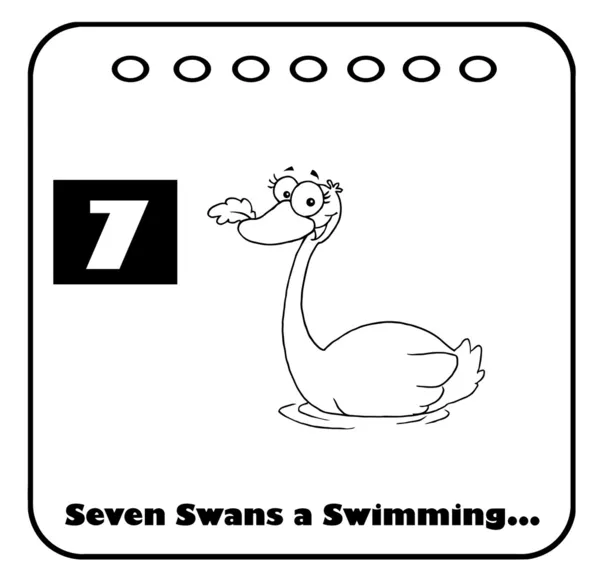 Cisne Preto Branco Nadando Calendário Natal Com Texto Número Sete — Fotografia de Stock