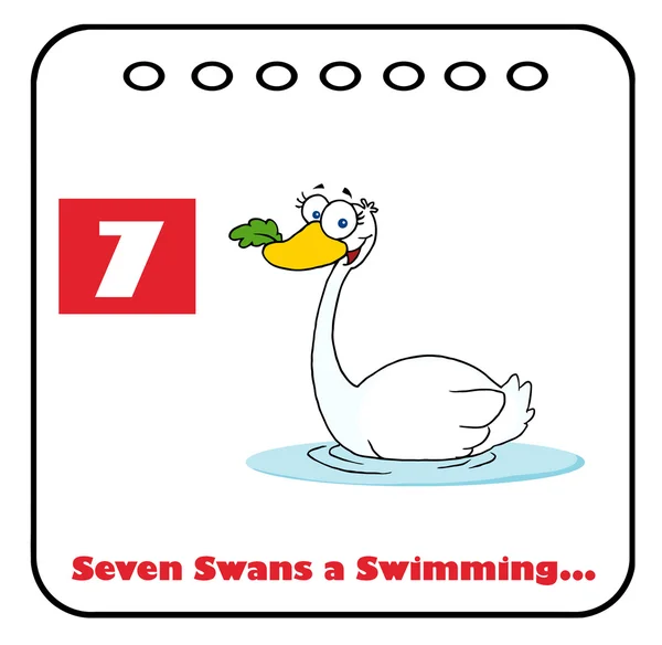 Cigno Che Nuota Calendario Natalizio Con Testo Numero Sette — Foto Stock