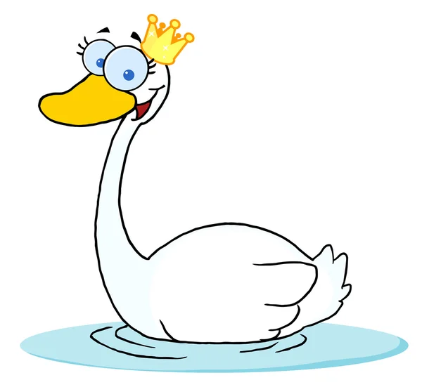 Cisne coroado Natação — Fotografia de Stock