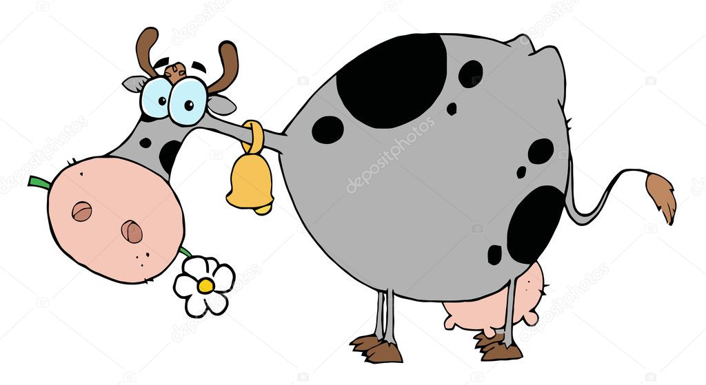 Gray And Black Cow Eating A Daisy Stock Photo by ©HitToon 4724461