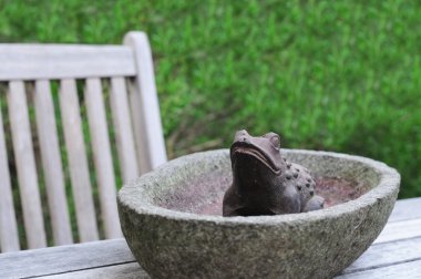 Bahçe süs: Demir kurbağa