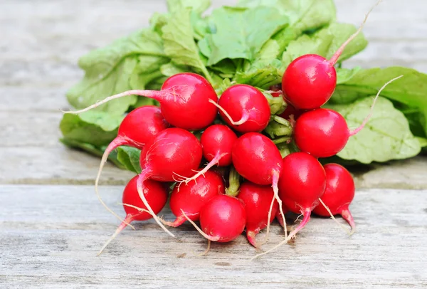 stock image Fresh radishes with leafs