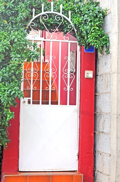 Живописная дверь — стоковое фото